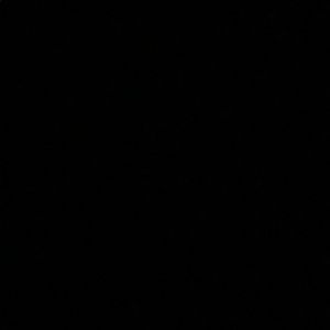 Meet your Posher, Gavin